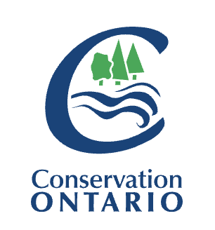 Rice Lake Conservation Area Trails