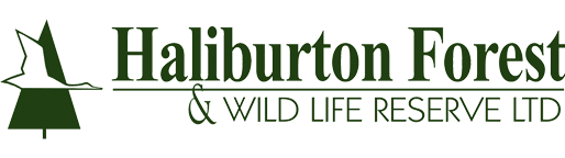 Haliburton Forest & Wildlife Reserve