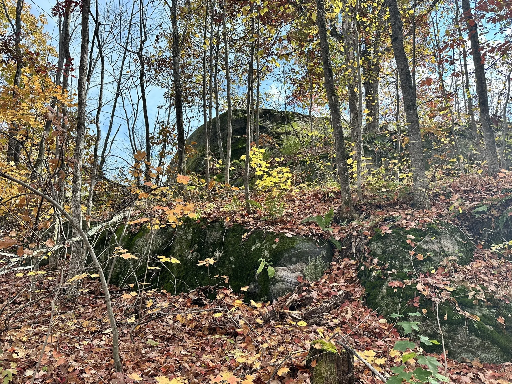 Superberry Trail