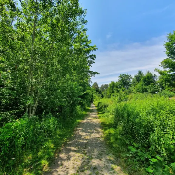 TiffinCentreConservationLoopTrail