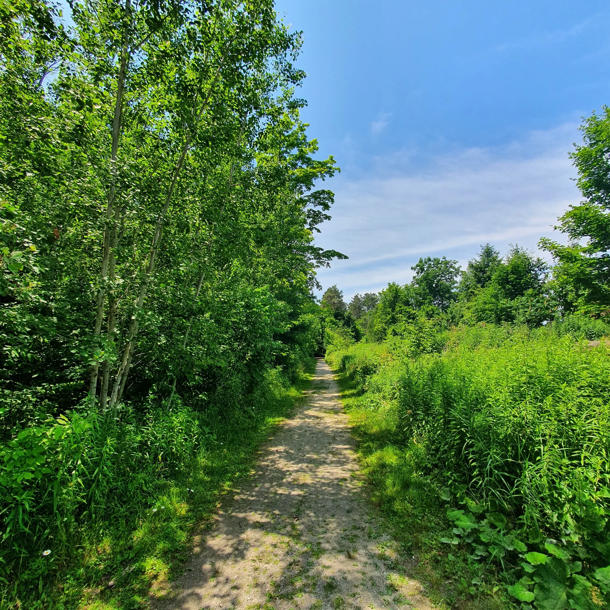 Tiffin Centre Conservation Loop Trail