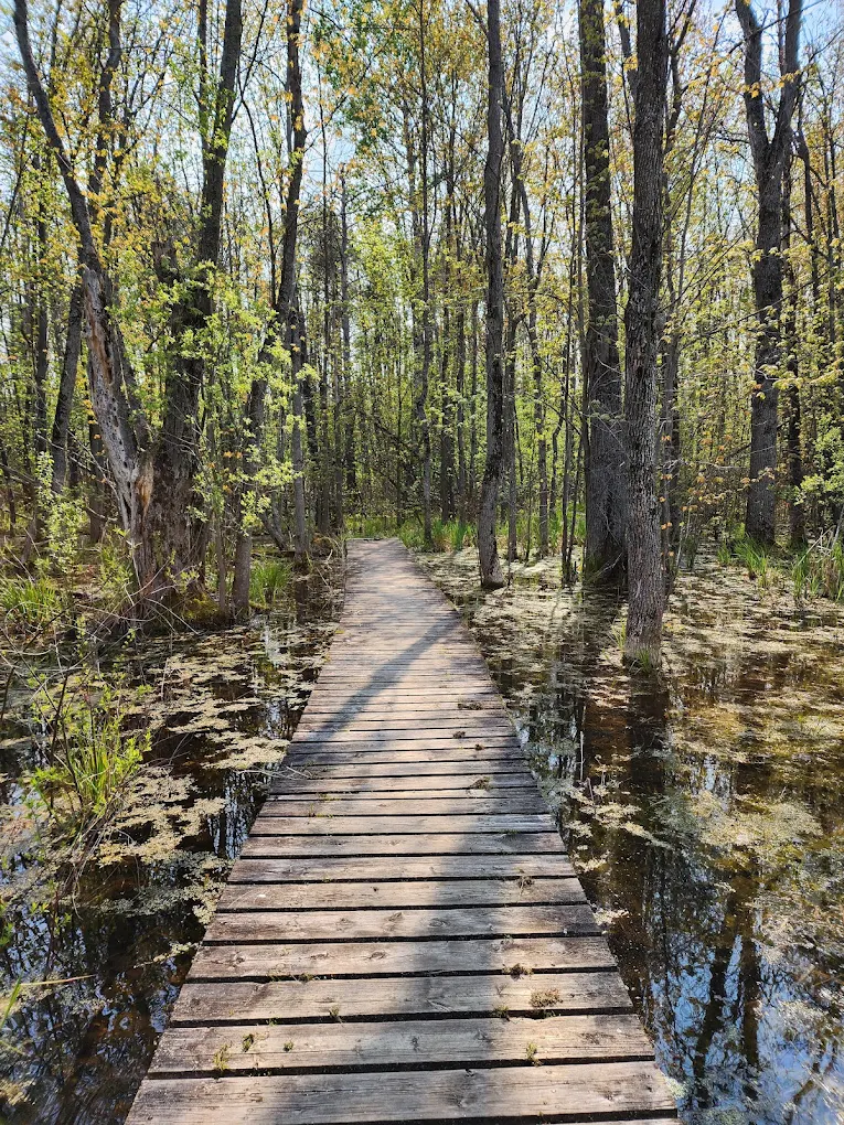 Tiny Marsh loop Trail