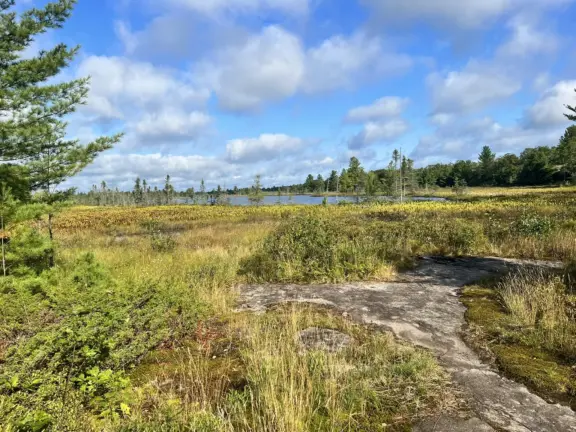 TorranceBarrensLongTrail