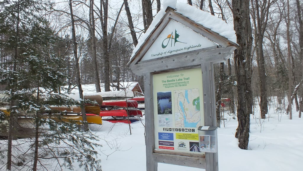 The Beetle Lake Trail