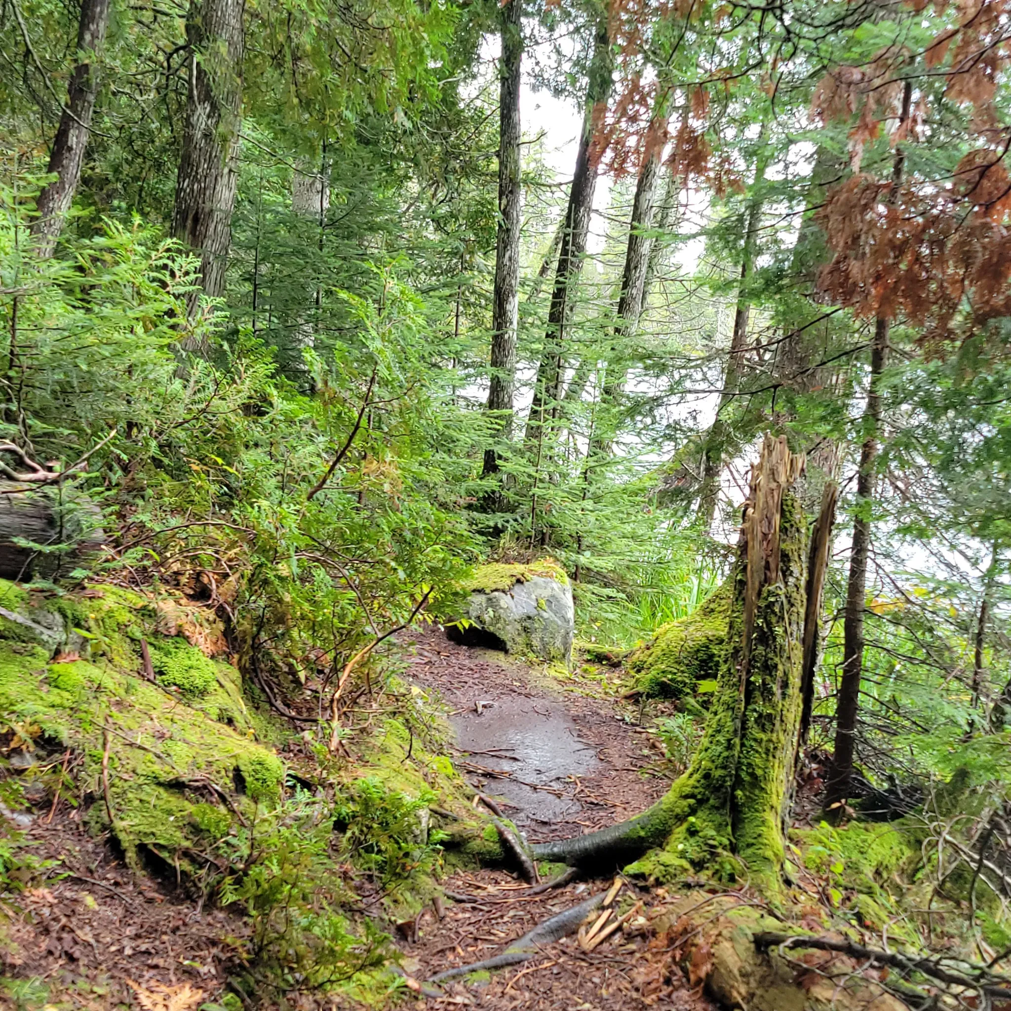Trapper’s Trail