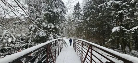 Weirlaketrail
