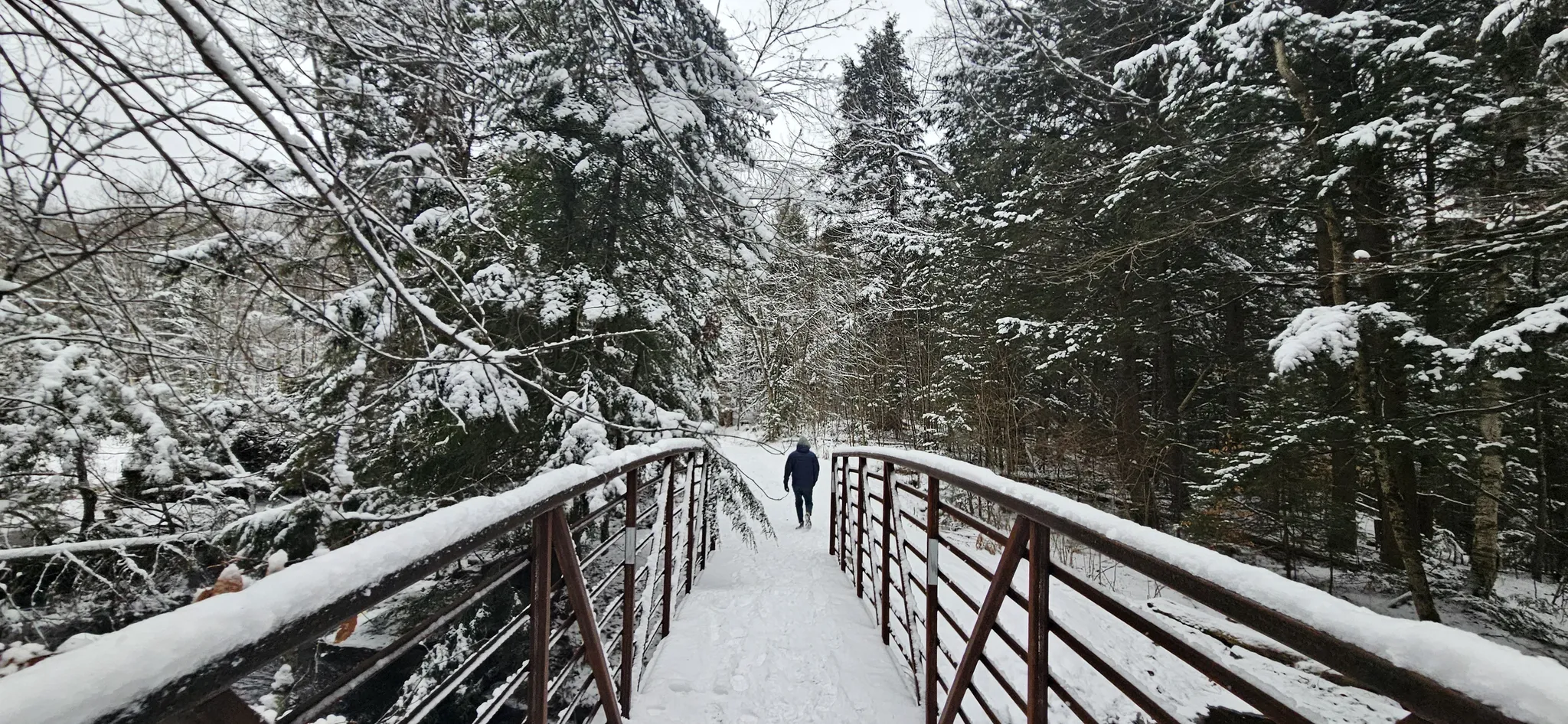 Weir Lake Trail
