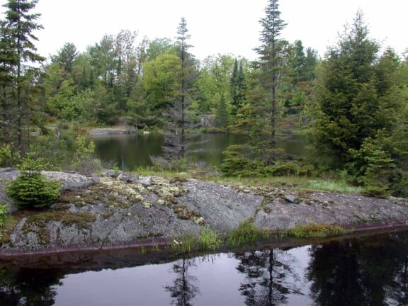 Whitestone Lake Trails