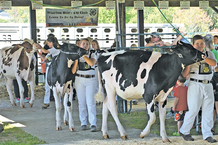 Wiarton Fall Fair
