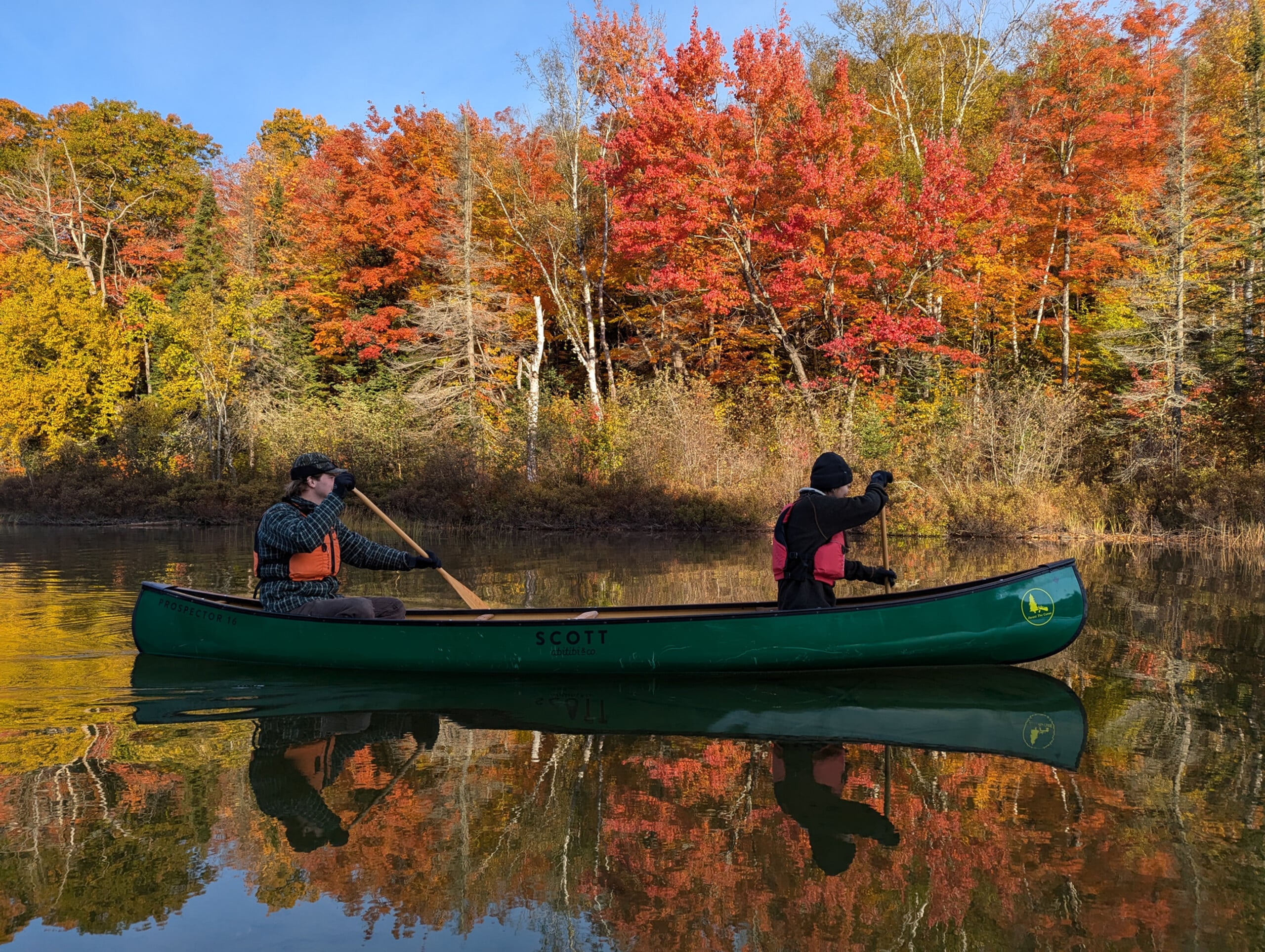 Forest the Canoe