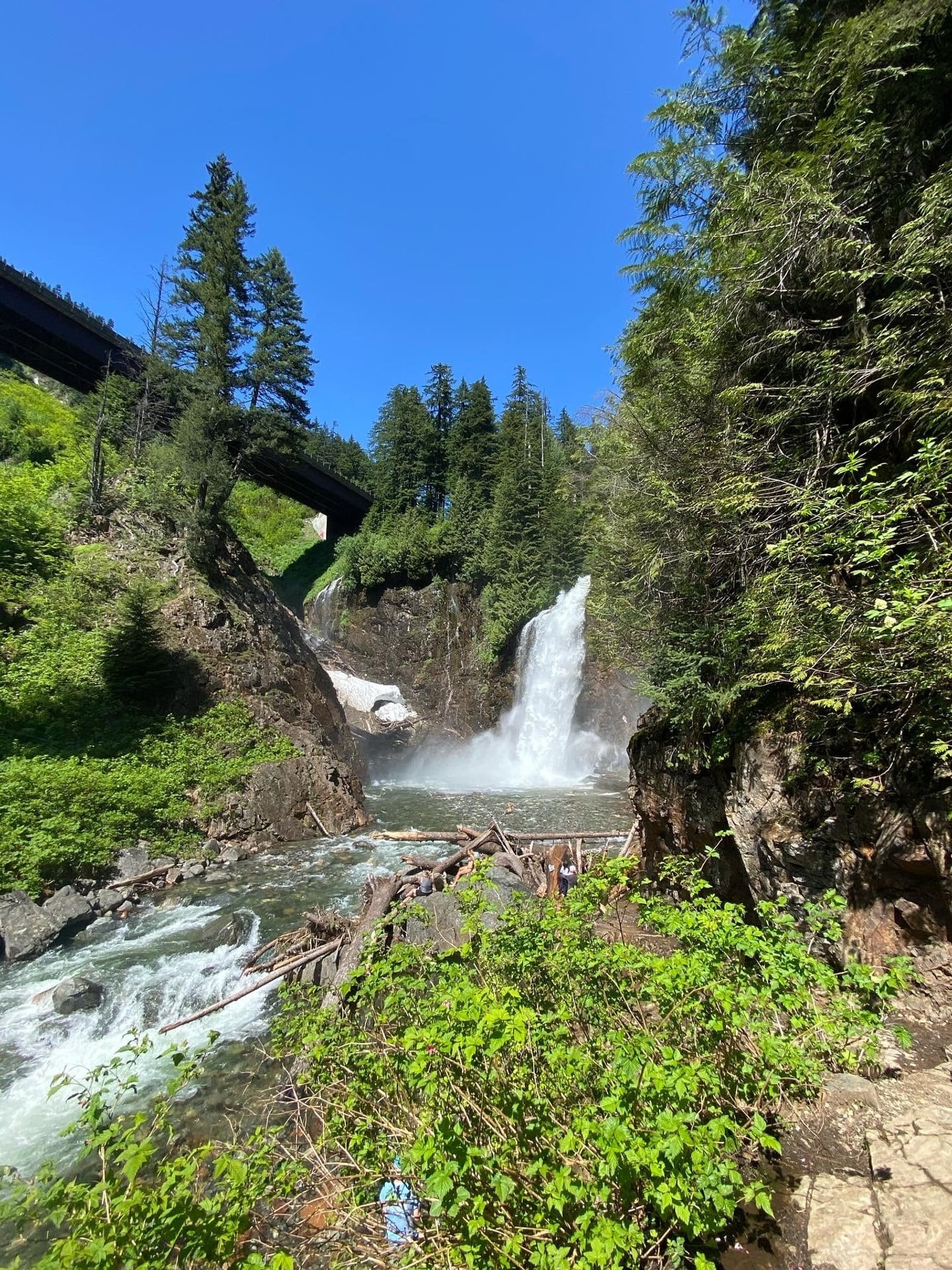 Frank Falls