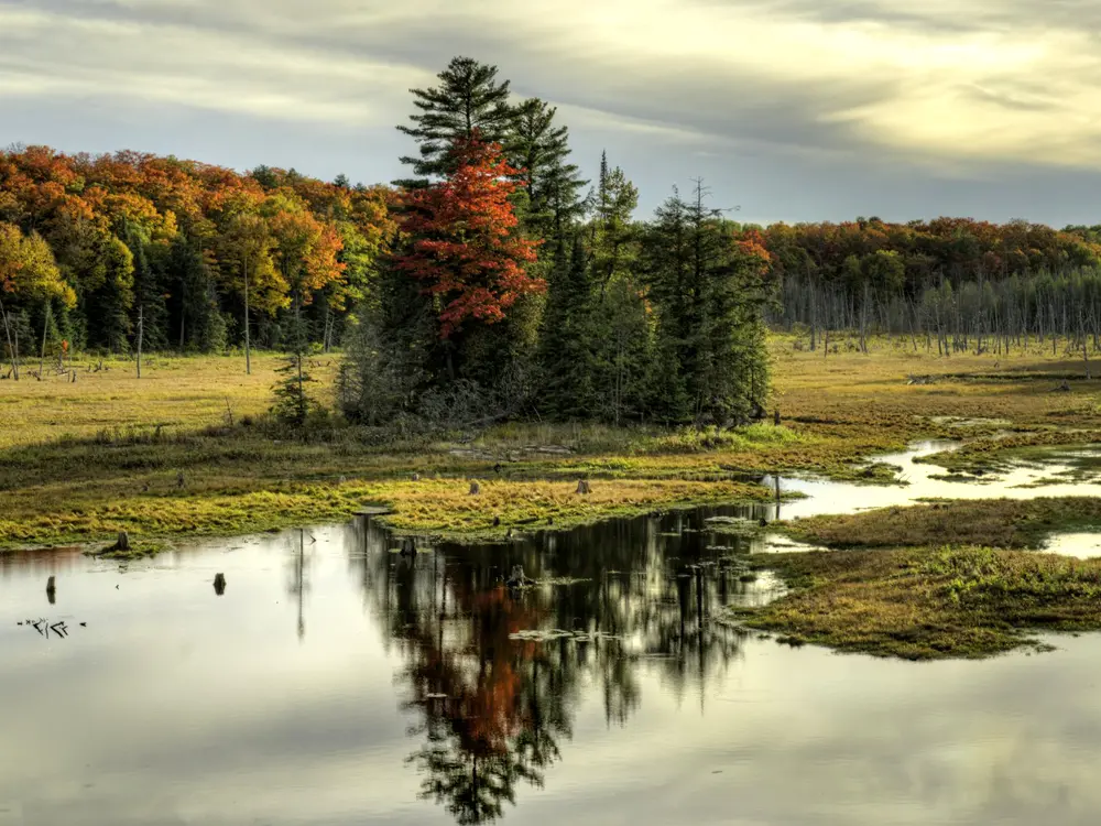 Algonquin Provincial Park (National Historic Site)