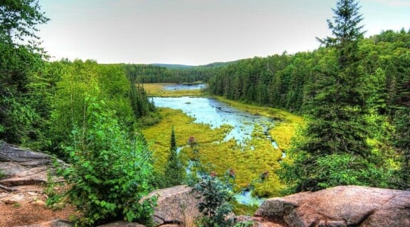 beaver-pond-trail