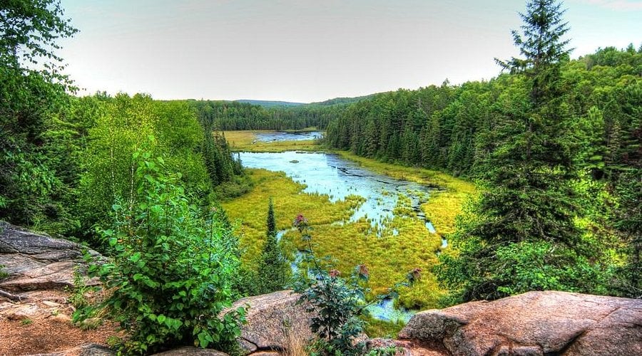 Beaver Pond Trail