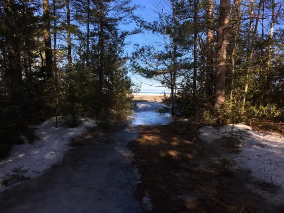 carlypattersonmemorialtrail