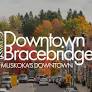 Bracebridge Falls