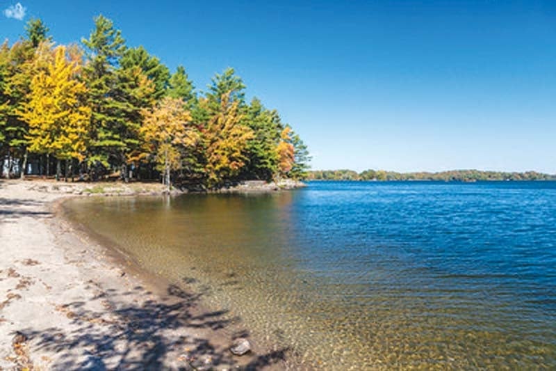 Gilmour Point Beach