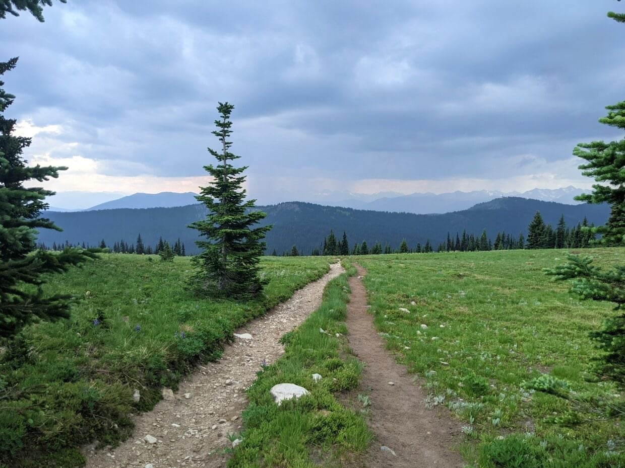 Heather Pathway Trail