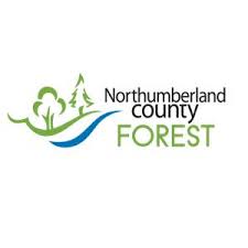 Northumberland County Forest