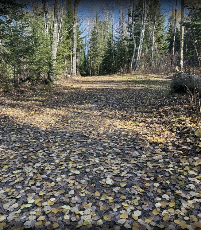Mount Evergreen Trails