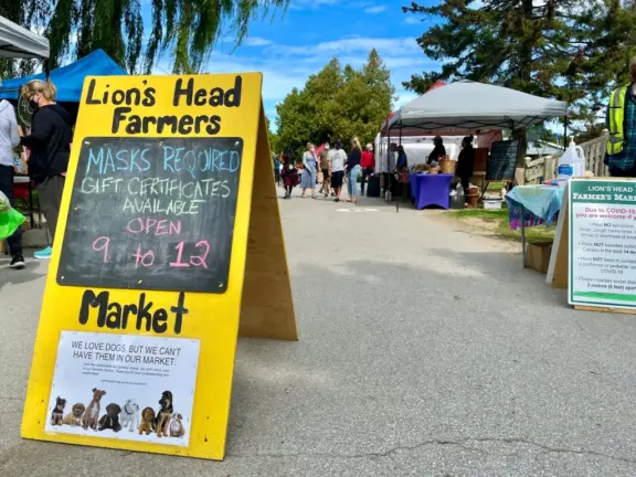 lions-head-market-1024×768-1