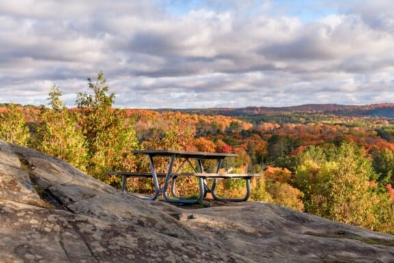 lions-lookout-4_84D5835F-E4EE-F28D-FBCC0B62A1366412-84d58303a1e5a24_84d58581-ab2a-ed87-44d728526bcfd210