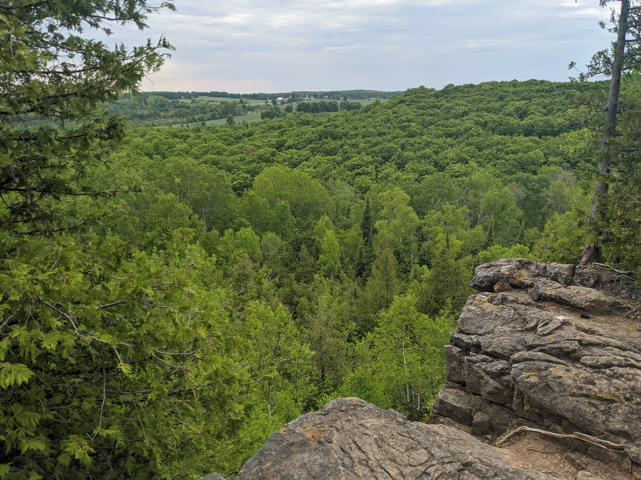 Nottawasaga Bluffs Loop Trail
