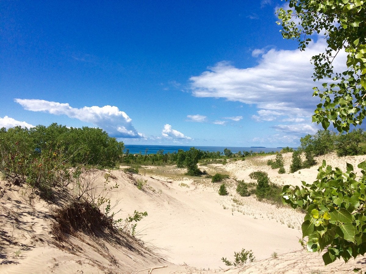 Dunes Beach (Sandbanks PP)