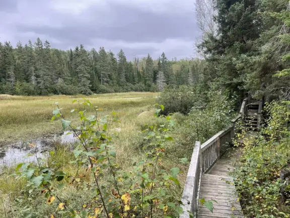 rushingriverlowerrapidstrail