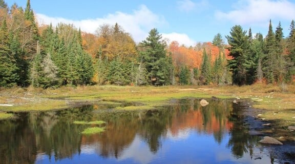 the-fall-colours