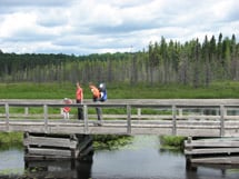 Spruce Bog Boardwalk