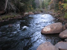 Whiskey Rapids