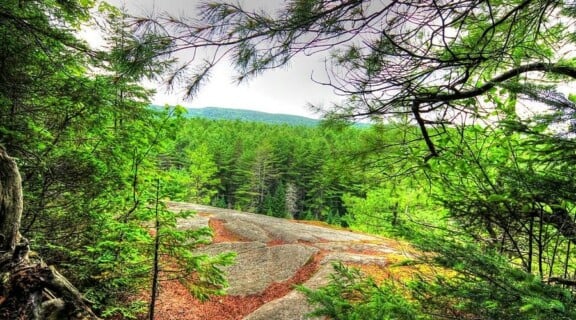 two-rivers-trail