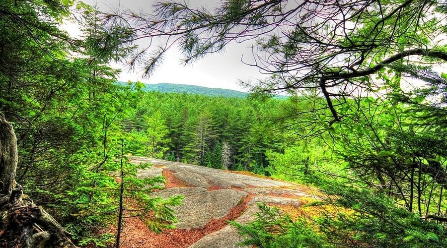 Two Rivers Trail