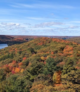 Dorset Lookout Tower