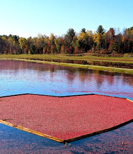Muskoka Lakes Farm & Winery