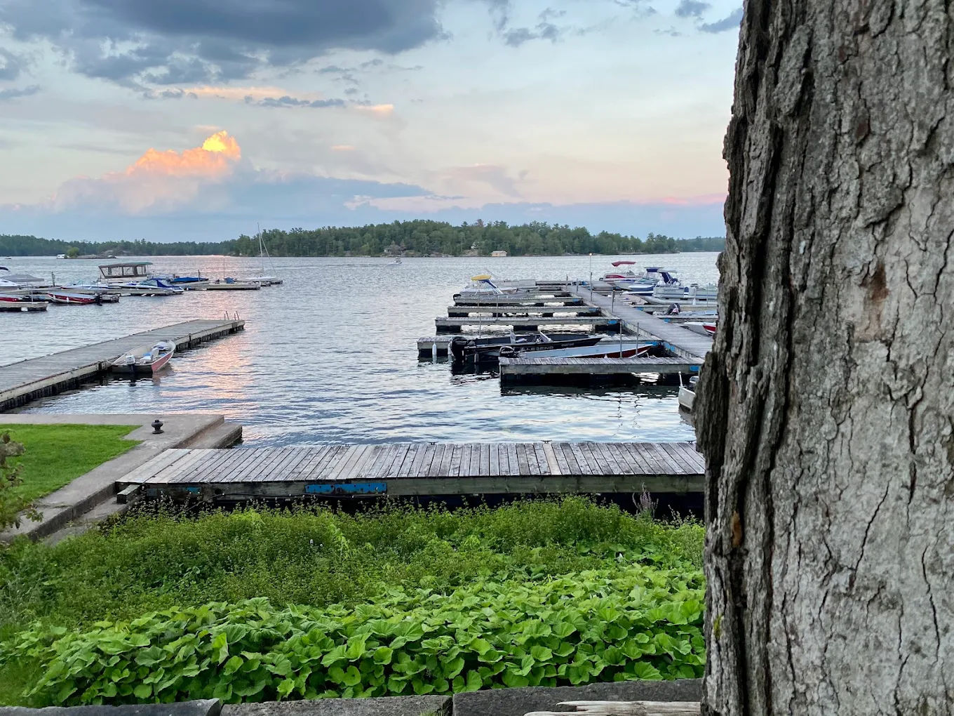 Kawartha Park Marina