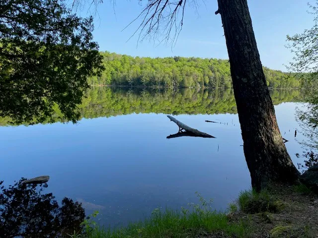 Haliburton Forest & Wildlife Reserve Outfitters