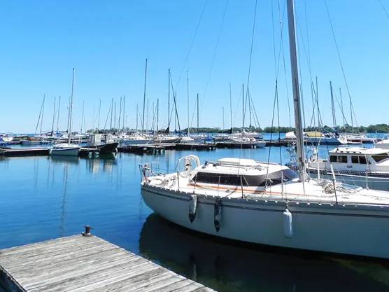 Waupoos Marina