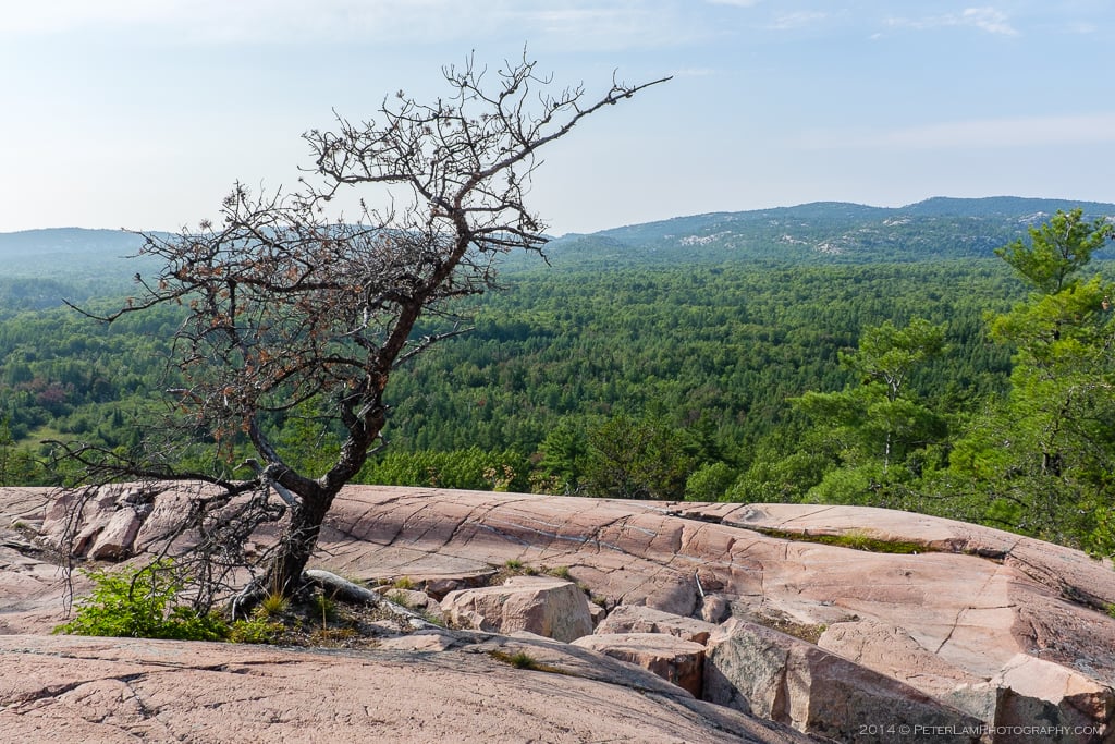 Granite Ridge Trail