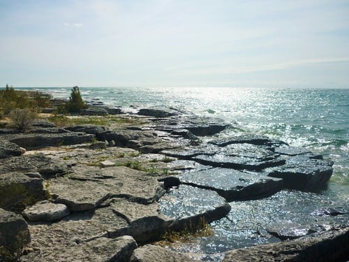 Misery Bay Coastal Alvar Trail