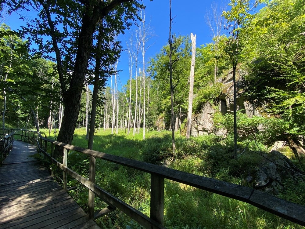 Arab Lake Gorge Trail