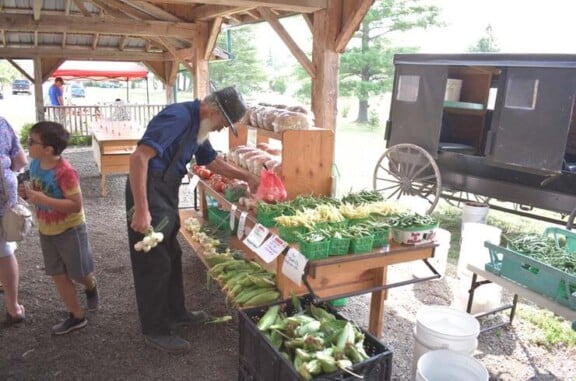 gcull_johnsonfarmersmarket_mennonitefarmer.jpg