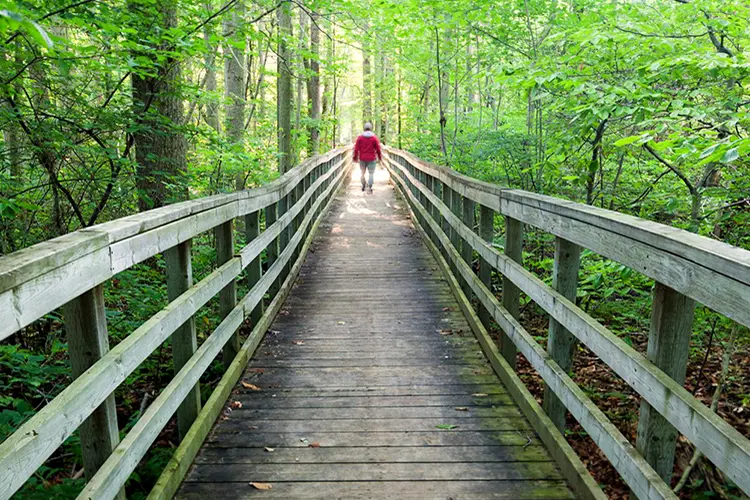 Point Pelee National Park