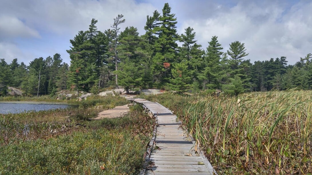 Grundy Lake Provincial Park