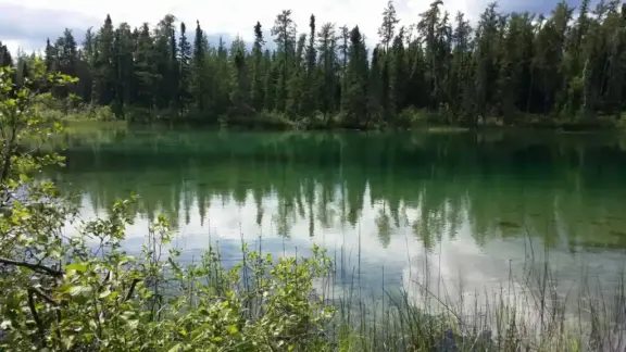 PickleLake