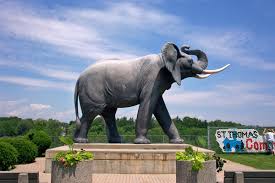 Jumbo the Elephant