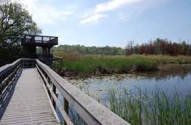 Presqu’ile Marsh Boardwalk Trail