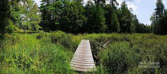 Silent Lake Provincial Park Bonnie’s Pond Trail