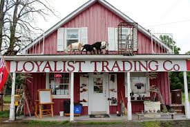Loyalist Trading Company